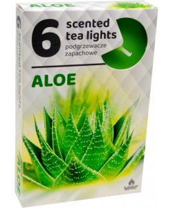 Čajové svíčky vonné - ALOE