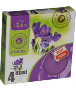 Čajová svíčka maxi velká 4 ks - KROKUS