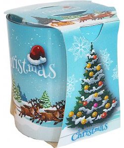 Vonná svíčka ve skle VERONA christmas